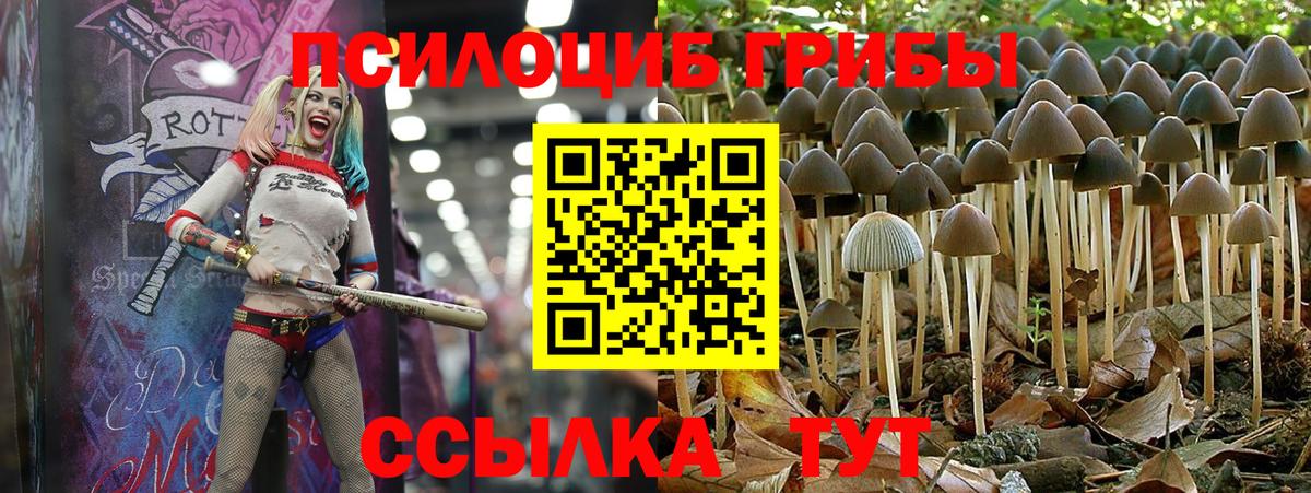 Псилоцибиновые грибы ЛСД  Вход с VPN  Луга 
